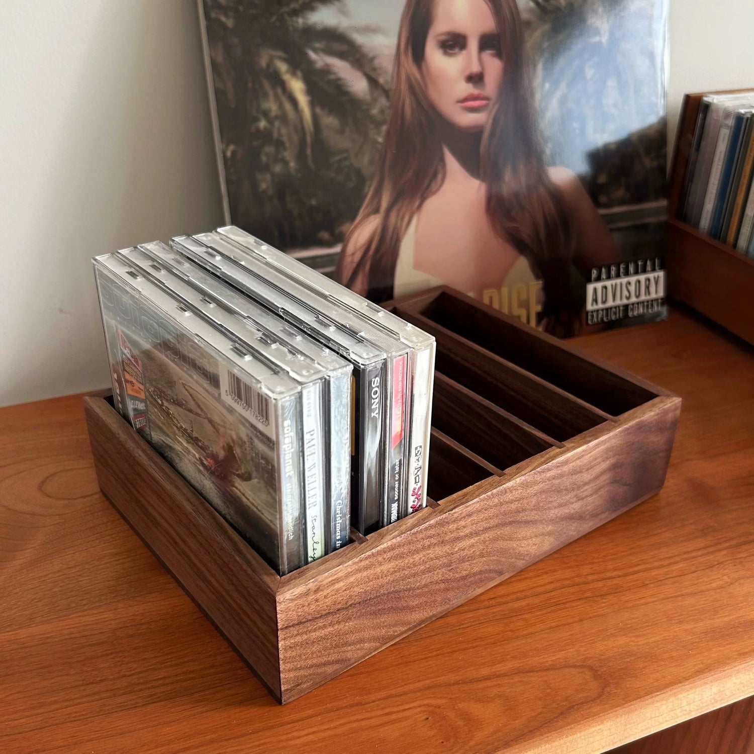 Elliot Solid Wood CD Storage Organizer