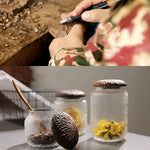 Open Haven Black Walnut Hammered Seal Glass Container with spices