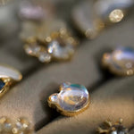 Walnut Jewelry Storage Organizer Chest